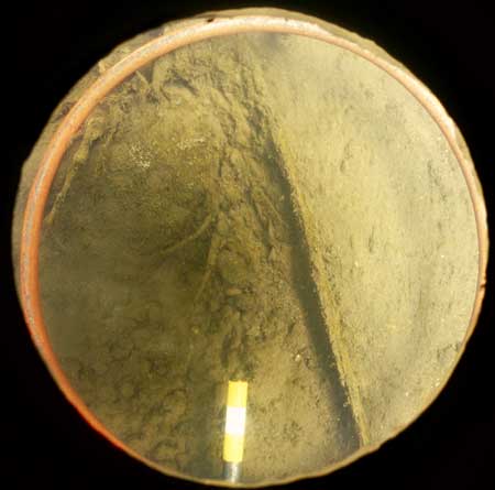 Transect 5, point 2.