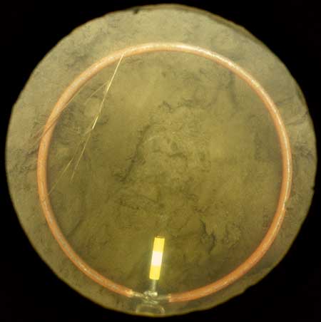 Transect 5, thalweg.