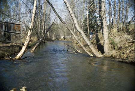 Transect 6, looking downstream from mid-channel.
