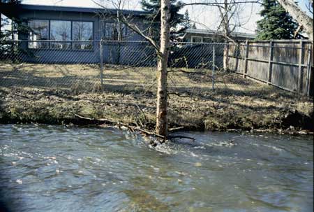 Transect 6, looking at left bank from mid-channel.