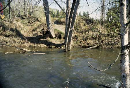 Transect 6, looking at right bank from mid-channel.