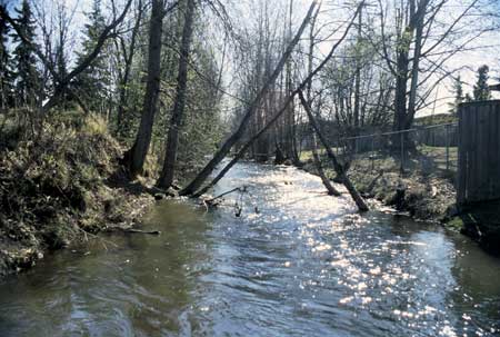Transect 6, looking upstream from mid-channel.