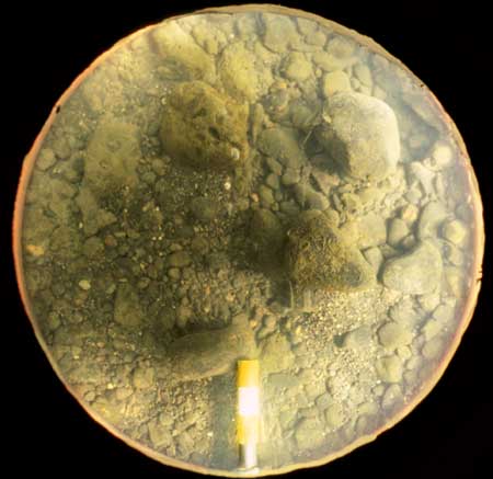 Transect 6, point 2.