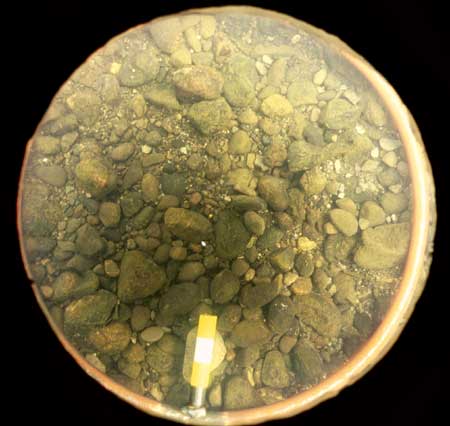 Transect 6, thalweg.