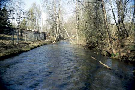Transect 7, looking downstream from mid-channel.