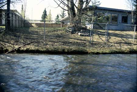 Transect 7, looking at left bank from mid-channel.