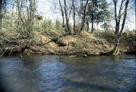 Transect 7, looking at right bank from mid-channel.