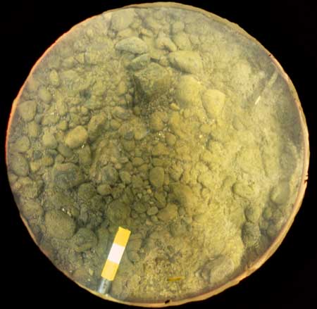 Transect 7, thalweg.