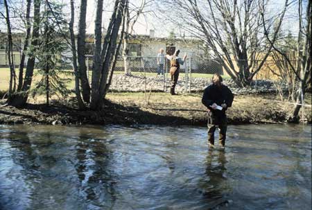 Transect 8, looking at left bank from mid-channel.