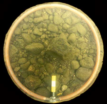 Transect 8, thalweg.