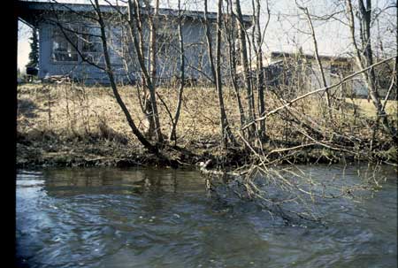 Transect 9, looking at left bank from mid-channel.