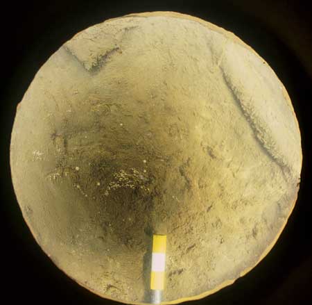 Transect 9, point 2.