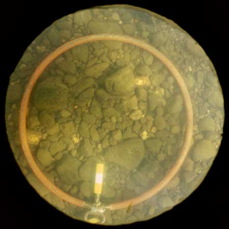 Transect 9, thalweg.