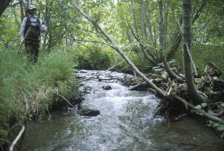 Transect 3, looking upstream from mid-channel.