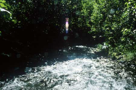 Transect 9, looking downstream from mid-channel.