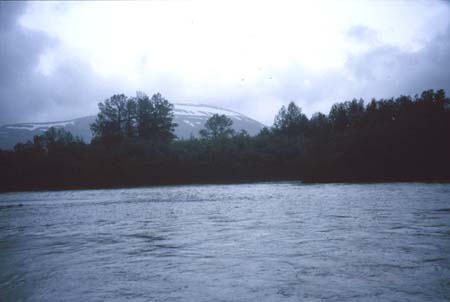 Kamishak River near Kamishak