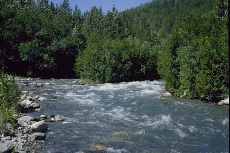 Moose Creek near Palmer, Ak
