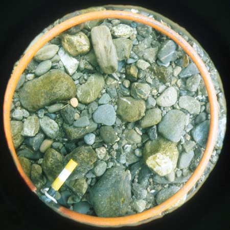 Sample of bed sediment