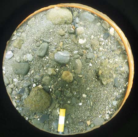 Sample of bed sediment