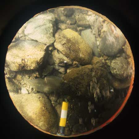 Sample of bed sediment