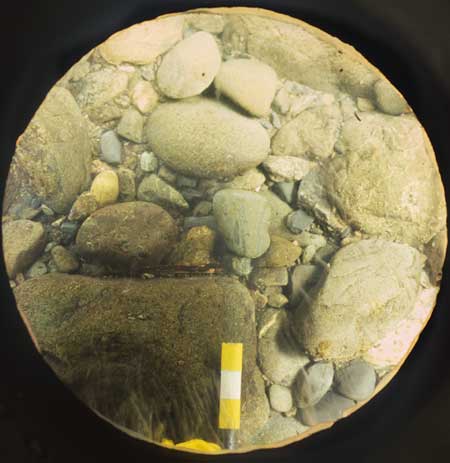 Sample of bed sediment