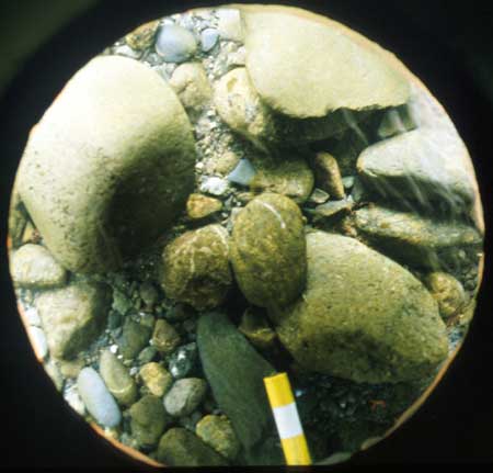 Sample of bed sediment