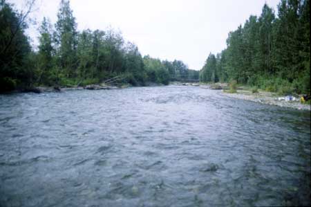Ship Creek at Glenn Highway
