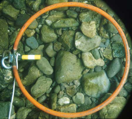 Transect 1, thalweg.