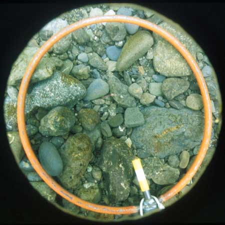 Transect 10, thalweg.