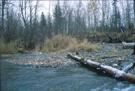 Transect 3 looking at right bank