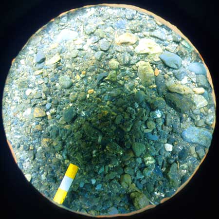 Transect 3, point 2.