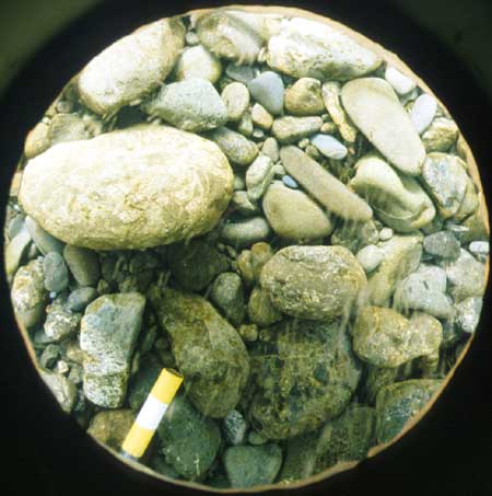 Transect 4, thalweg.