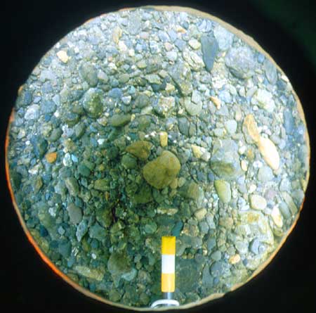 Transect 5, point 2.