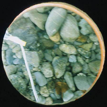 Transect 6, point 1.