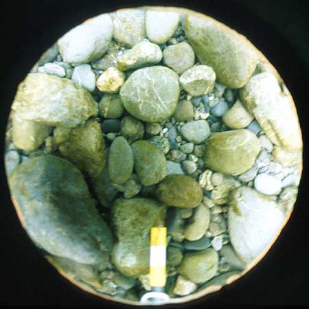 Transect 6, point 2.