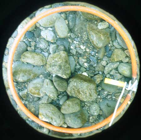 Transect 6, thalweg.