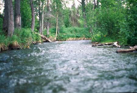 Transect 7 looking upstream