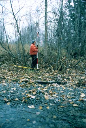 Transect 8 looking at left bank