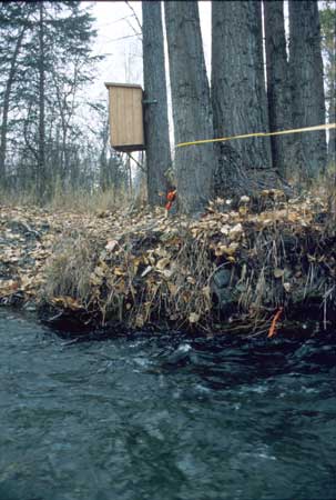 Transect 8 looking at right bank