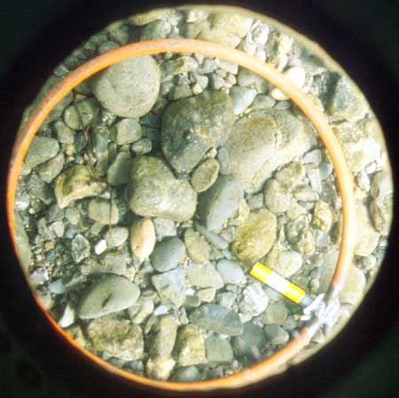 Transect 8, point 2.