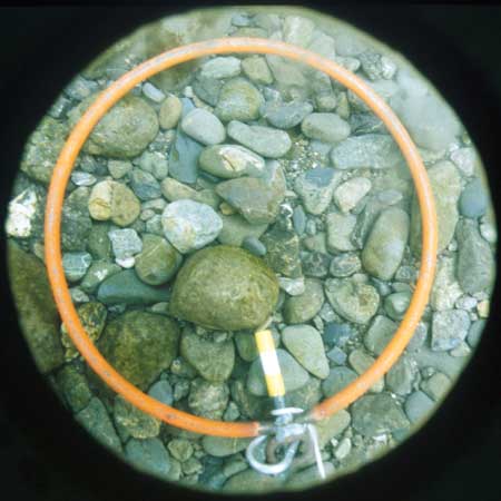 Transect 9, thalweg.