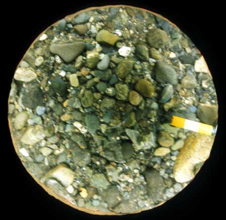 Transect 1, point 1.