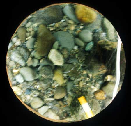 Transect 11, point 2.