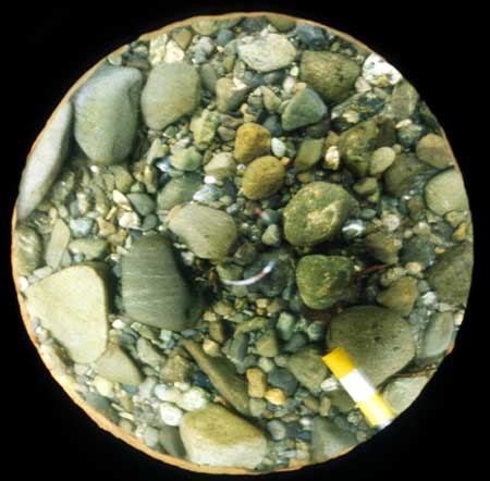 Transect 2, thalweg.
