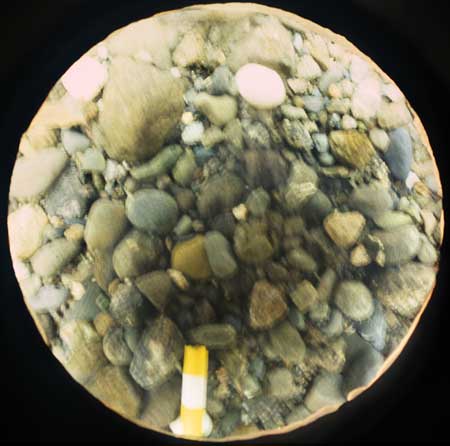 Transect 3, point 1.