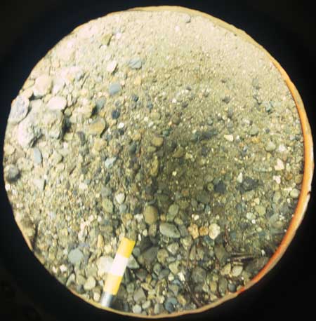 Transect 3, thalweg.