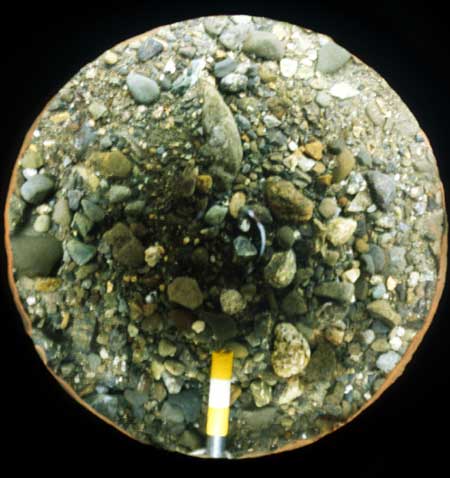 Transect 5, thalweg.