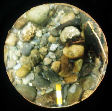 Transect 7, point 1.