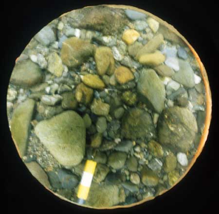 Transect 7, point 2.