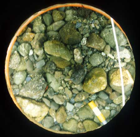 Transect 9, thalweg.